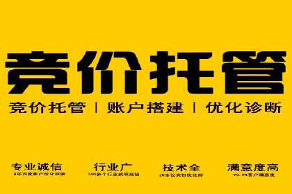 案例对比：不同竞价广告平台的优劣